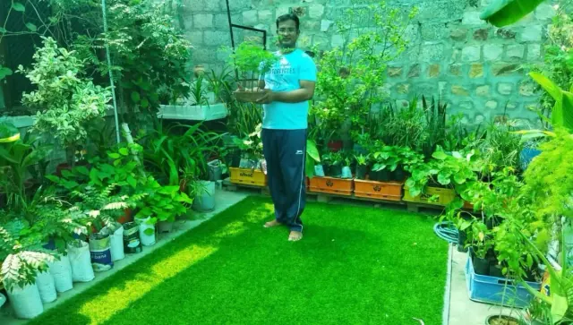 छत पर बागवानी — टेरेस गार्डन