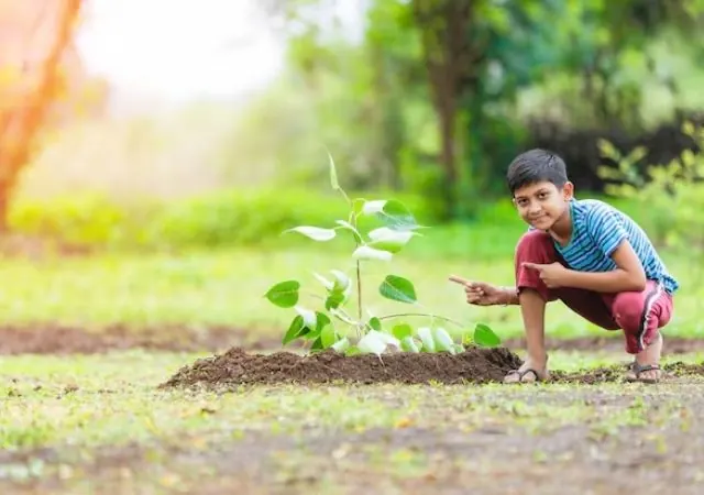 A boy planting a sapling
