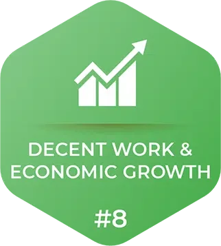 Decent Work & Economic Growth — SDG 8